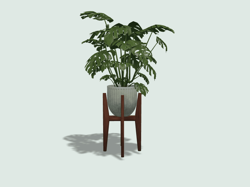 植物 3D 模型预览